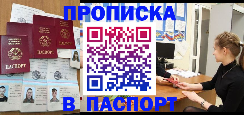 прописка поиск в Александровске